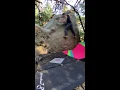 The Warm Up V1 - Dog Dish boulder
