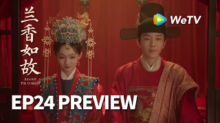 【Preview EP24】《兰香如故》Against The Current｜刘学义、谭松韵