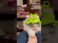 OMG your cat needs this hat Perfect for cozy vibes cute photoshoots