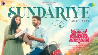 Sundariye - Audio Song | Athi Bheekara Kaamukan | Rakhooo | Bibin Ashok | Lukman | Drishya