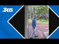 Homeowners near Yelm terrorized by burglar prowling their community