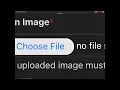 Ant s Artfight tutorial how to add another image to a character s profile