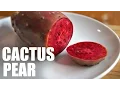 CACTUS PEAR Prickly Pear Taste Test -