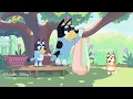 Bluey Full Episode | Butterflies | Full Episode | @disneyjr