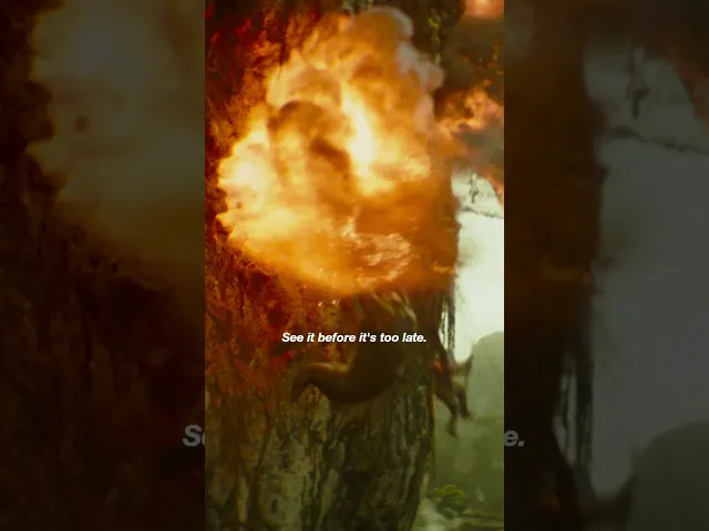 background images
