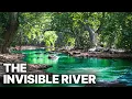 Lagu The Invisible River | Extraordinary Biodiversity