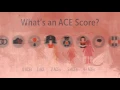 ACES Primer