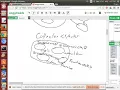Collector - Advanced Usage of Stream