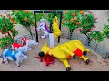 Download Lagu WADIDAU ‼️ PROSES POTONG SAPI KURBAN Cow Cartoon