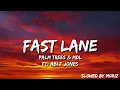 Lagu Palm Trees \u0026 MdL - Fast Lane ft. Abi F Jones (Slowed + Lyrics)