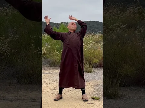 Relieve Shoulder & Lower Back Pain with 5-Minute Qigong | #Shorts