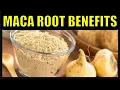 Download Lagu 13 Incredible Health Benefits of Maca Roots YOU NEED TO KNOW