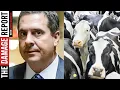 Devin Nunes Cow Case Just Got SUPER Embarrassing