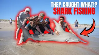 We Caught a Hammerhead Shark From the Beach Using a Drone! (Multiple Sharks!)