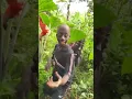 Download Lagu Rango teke teke #youtubeshorts #duet #tumi #youtube #ami