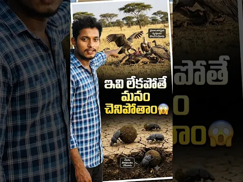ఇవి లేకపోతే మనం చెనిపోతాం 😱