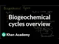 Biogeochemical cycles Ecology Khan Academy