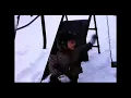 1967 Snow Storm Jackson Michigan
