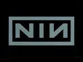 NINE INCH NAILS - "CLOSER"