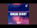 Download Lagu Binjai Sekut