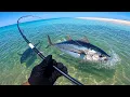 Giant Tuna from the SAND Catch Cook