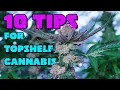 10 Tips for Growing Top Shelf Weed How to Grow High-Quality Cannabis