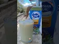 Frisian Flag Matcha...
