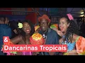 Download Lagu DANCARINAS TROPICAIS ||  Trafassi Show