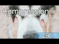 CSP Compression