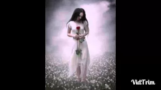 هاني شاكر الحلم الجميل 