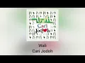 Wali Band - Cari Jodoh (Official Audio)