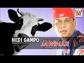 Download Lagu Nedi Gampo - JAWINAR (Official Music Video Gampo Melodio Production)