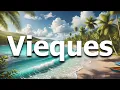 Vieques Puerto Rico 10 BEST Things To Do In 2025 Travel Guide