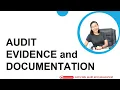 4 3 Audit Evidence and Documentation