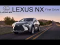2024 LEXUS NX 350H
