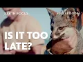 This Partnership Could Preserve San Clemente Island s Ecosystem Earth Focus S6 E3