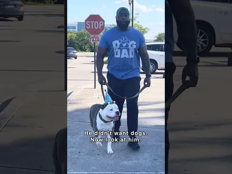 My husband didn’t want dogs 😩
