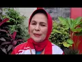 Download Lagu 254 Pegiat Langkah Dansa Se-Jateng Meriahkan Forda Provinsi 2024