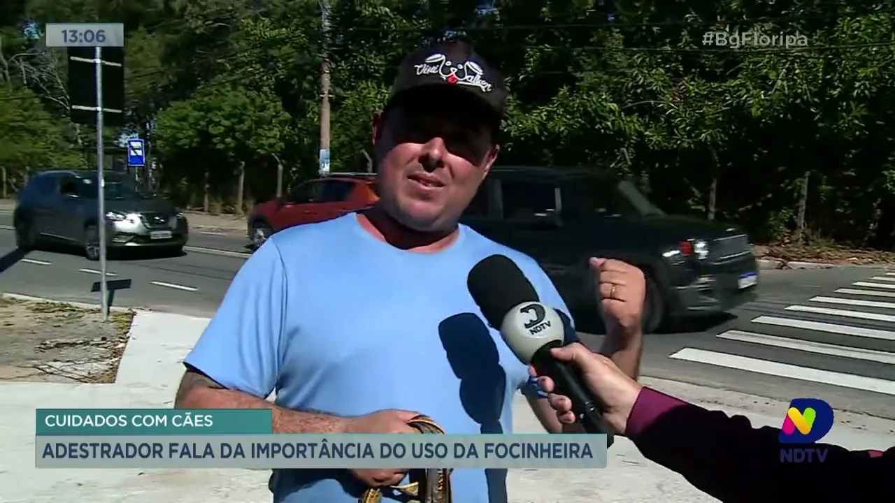 Adestrador fala sobre os cuidados que devem ser tomados ao sair de casa com o cachorro