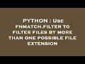 PYTHON Use fnmatch filter to filter files by more than one possible file extension