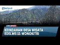 Download Lagu Desa Wisata Edelweiss Wonokitri Kabupaten Pasuruan, Pemandangan Oke Plus Jaga Budaya dan Konservasi