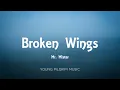 Mr. Mister - Broken Wings (Lyrics)