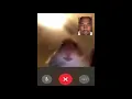 Hamster and Kanye s Awkward Facetime Call 10 Hours