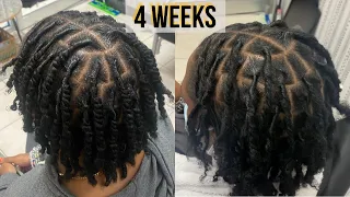 First Retwist on Two-Strand Twist Starter Locs Talk Through Technique Loctician