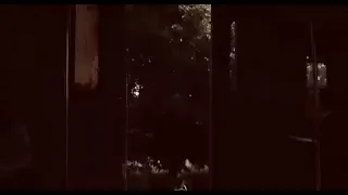 بيني وبينك صور ورا صور وأنا لا مارد ولا عصفور دندنها