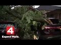 Massive tree crushes car during Dearborn Heights storm