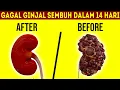 Download Lagu Penderita Gagal Ginjal WAJIB TAHU! 8 Makanan Ini Diam-Diam Bisa Bantu Menyembuhkan Alami