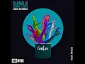 Cookie Jar (Grensta Remix)