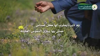 شيلة عزي لمن حده زمانه على الناس جات على ذوق العفراني  كلمات صهد البقمي اداء عبدالعزيز المخلفي دندنها