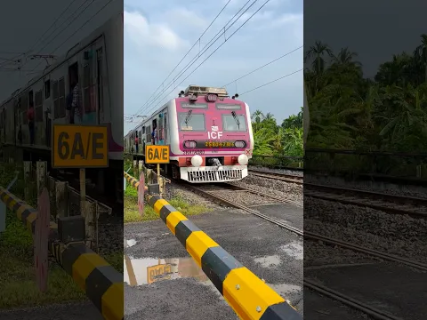 Furious Pink Emu at Railgate #shorts